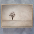 Lone Tree LS WARM
