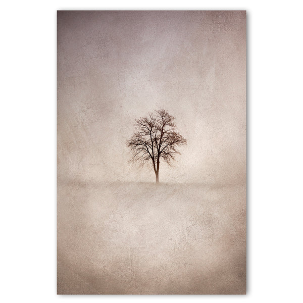 Lone Tree 1 WARM