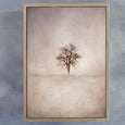 Lone Tree 1 - 1x A0 Art print