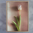 Watercolour Wash Tulips - 2x A2 Art prints