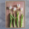 Watercolour Wash Tulips - 2x Large Art prints