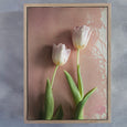 Watercolour Wash Tulips - 3x Art prints, various sizes