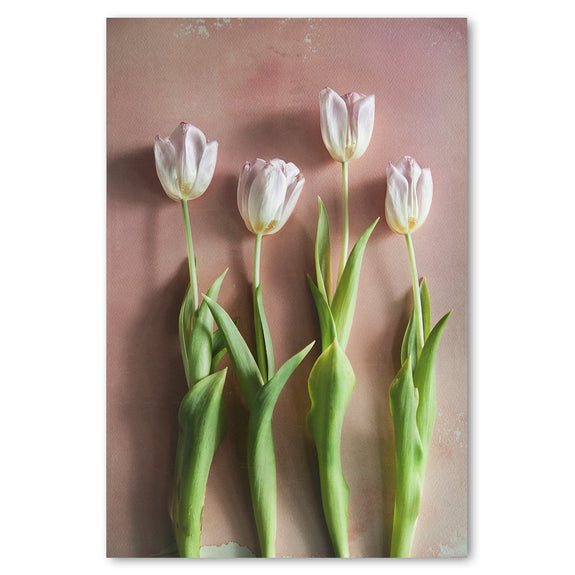 Watercolour Wash Tulips 4