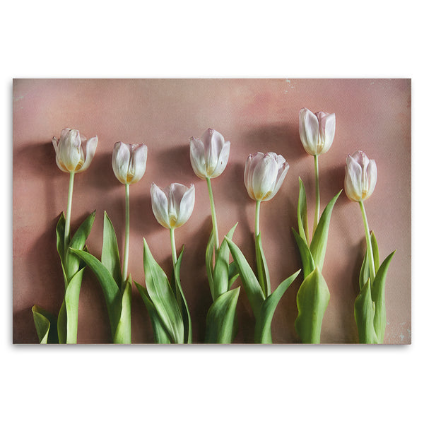 Watercolour Wash Tulips 5