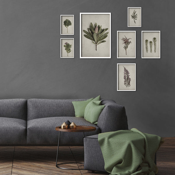 Fynbos Garden Gallery Wall - 7x Art prints, set 1