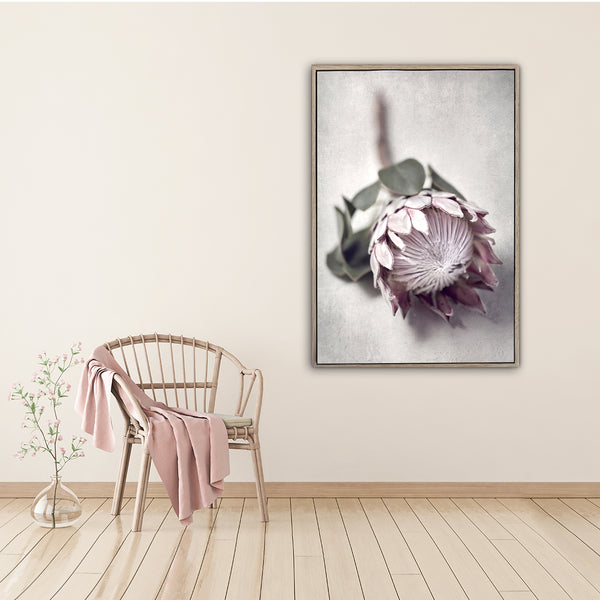 Pale Protea - 100x150cm Art print