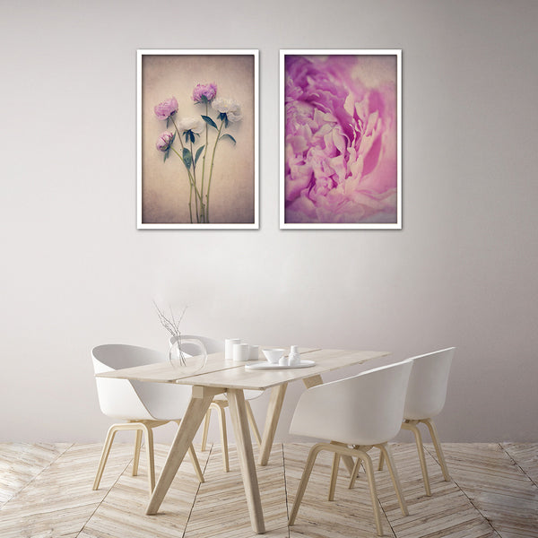 Peonies - 2x Large Art prints