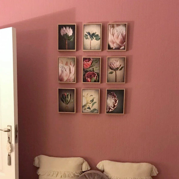 Petite Proteas