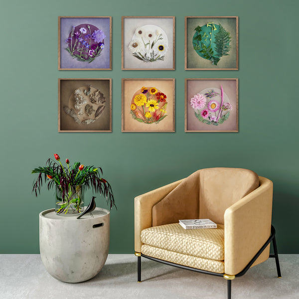 The Secret Garden - 6x Small Square Art prints