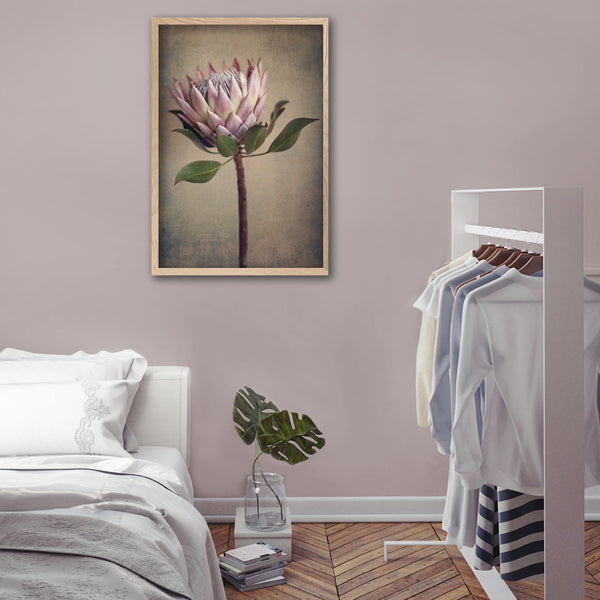 Protea Still - 1x Large Art print