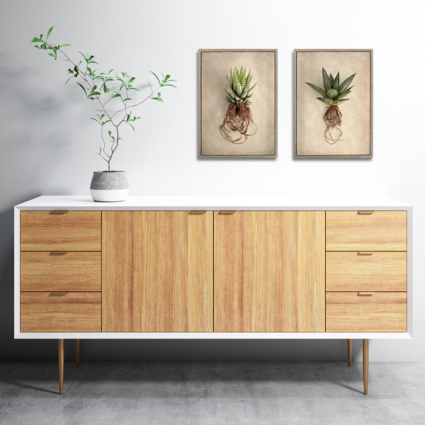 Succulent Study - 2x A4 Art Prints