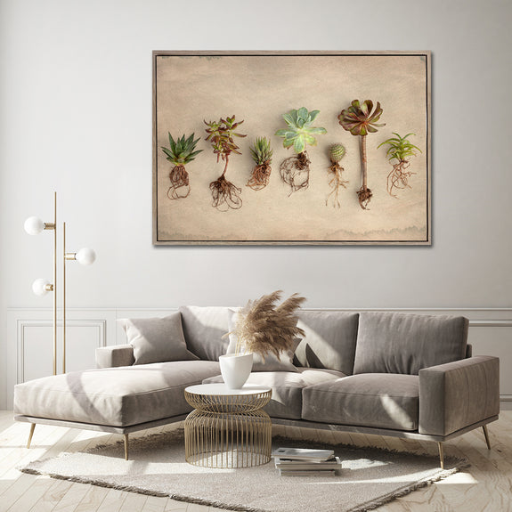 Succulent Study LS - 100x150cm Art print
