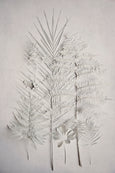 Alabaster Forest - 3x A2 Art prints
