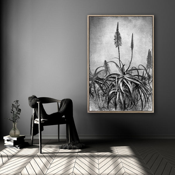 Aloe Grunge - 100x150cm Art print