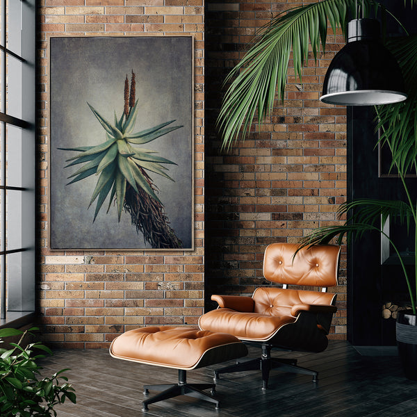 Aloe - 100x150cm Art print
