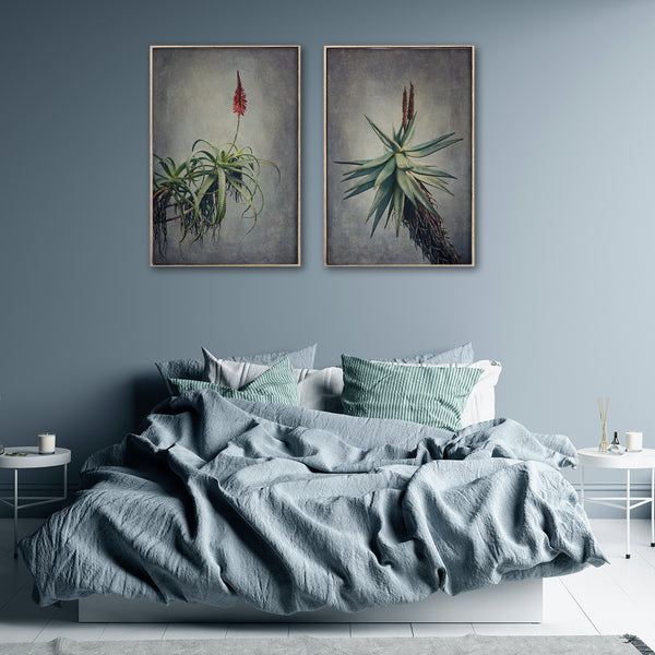 Aloes - 2x Large Art Prints