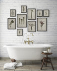 Fynbos Garden Gallery Wall - 10x Art prints