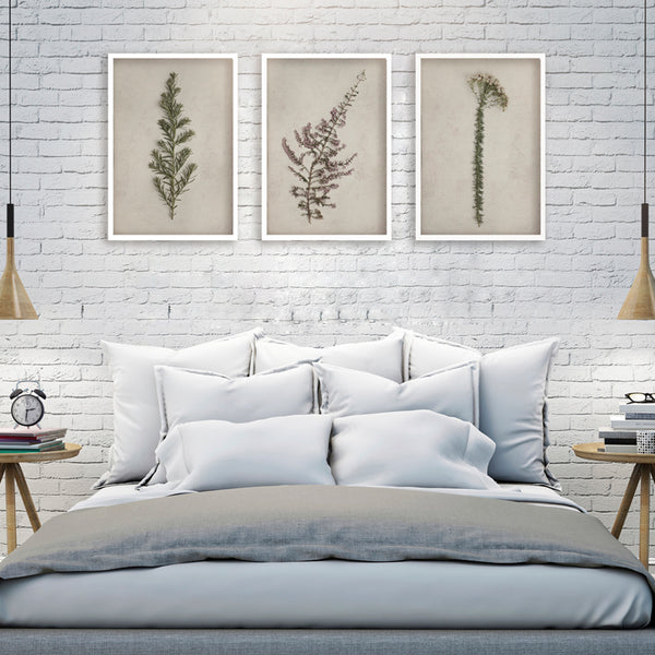 Fynbos Garden - 3x A2 Art prints