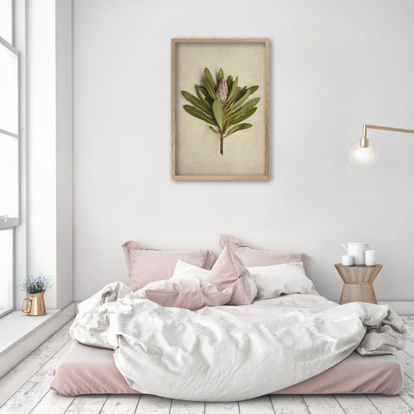 Fynbos Garden - 1x Large Art print