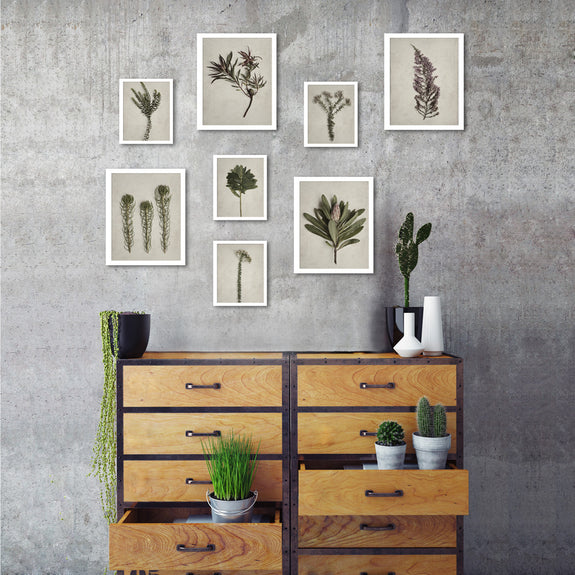 Fynbos Garden Gallery Wall - 8x Art prints, set 2