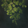 Dark Foliage - 4x Square Art prints