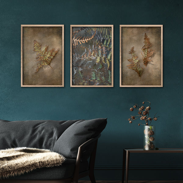 Earthy Ferns - 3x A2 Art prints, set 1