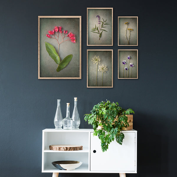 Foraged Gallery Wall - 5x Art prints, set 4