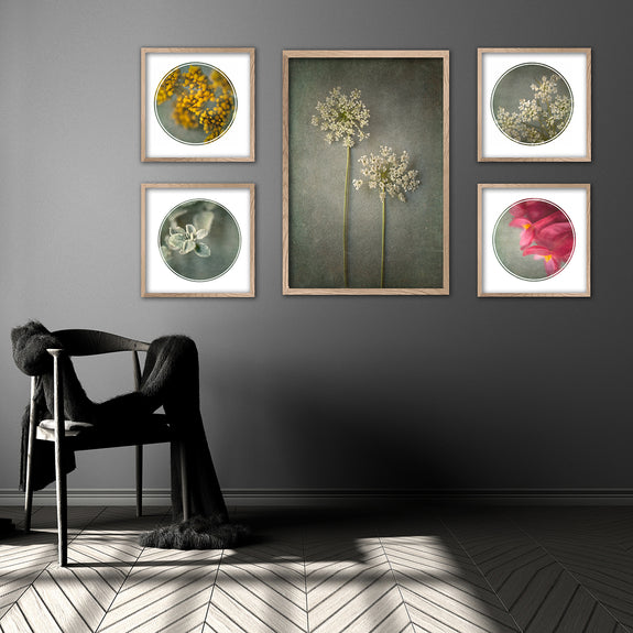 Foraged Gallery wall - 5x Art prints, set 5
