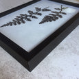 Fynbos Garden Gallery Wall - 10x Art prints