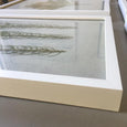 Protea Still - 3x Square Art prints, small