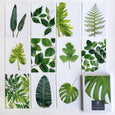Postcard Collections - Greenery