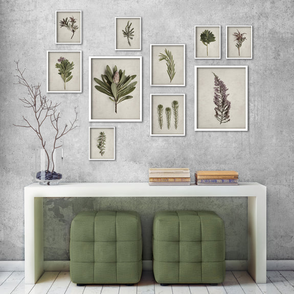 Fynbos Garden Gallery Wall - 10x Art prints