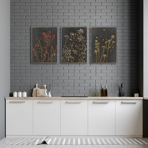 Night Garden - 3x A2 Art prints