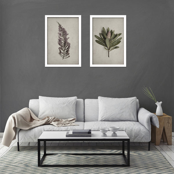 Fynbos Garden - 2x Large Art prints, set 1