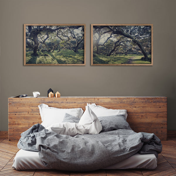Forest of Magic - 2x Large Art prints