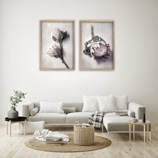 Pale Proteas - 2x Large Art Prints, set 1