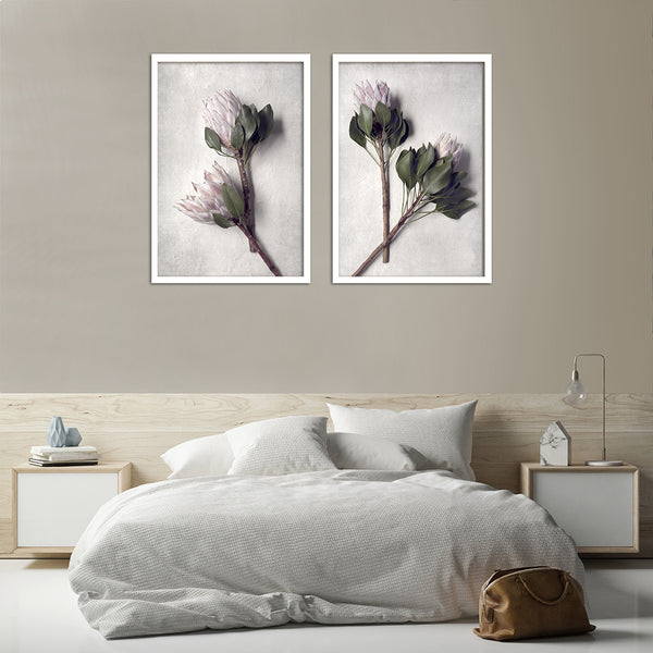 Pale Proteas - 2x Large Art Prints, set 2