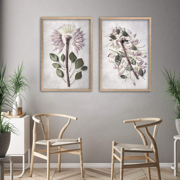 Protea Anatomy - 2x Large Art Prints, set 1