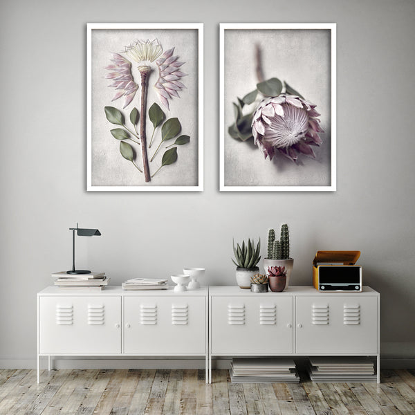 Protea Anatomy - 2x Large Art Prints, set 2