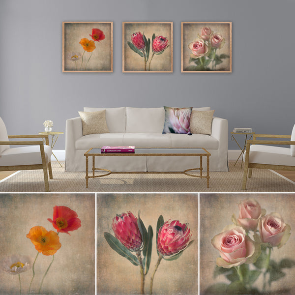 Soft Blooms - 3x Square Art prints