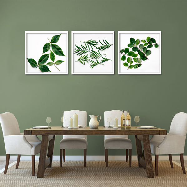 Leaves - 3x Square Art prints