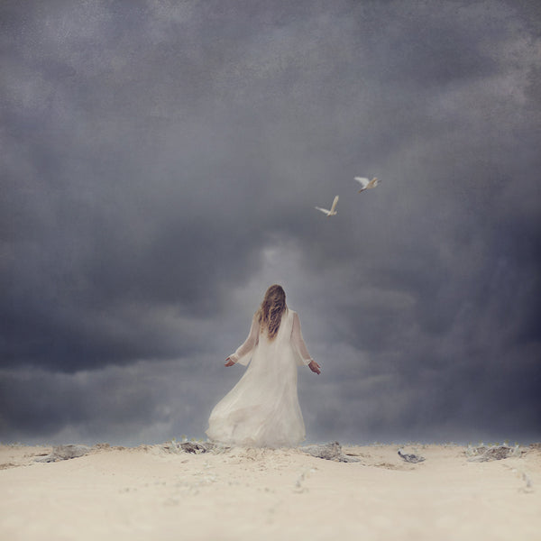 In the Eye of the Storm Art print